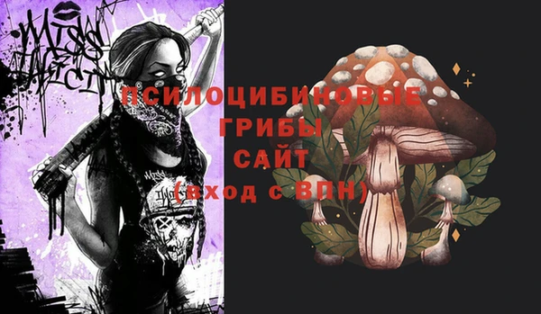 спайс Богданович